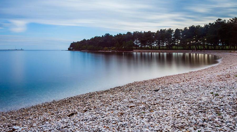 Apartman Ivo Apartment Novigrad  Bagian luar foto